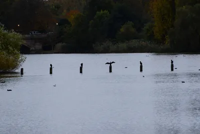 DSC_0551 (Large).JPG